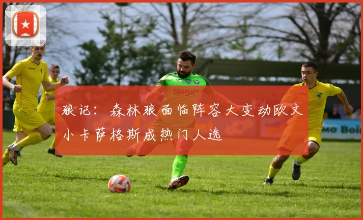 狼记：森林狼面临阵容大变动欧文小卡萨格斯成热门人选